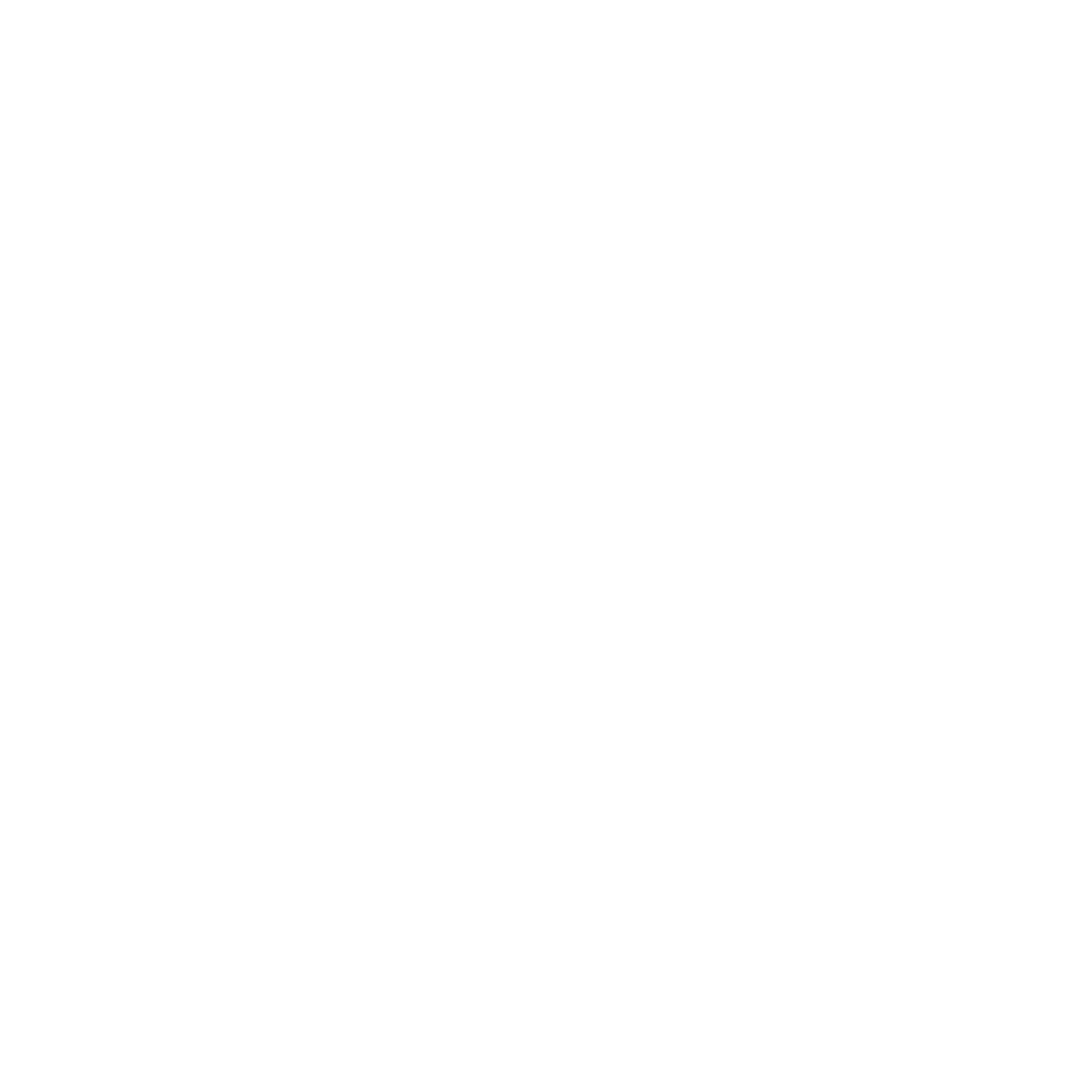 VF Logo